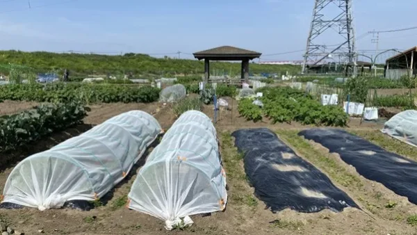土地活用例-貸し農園